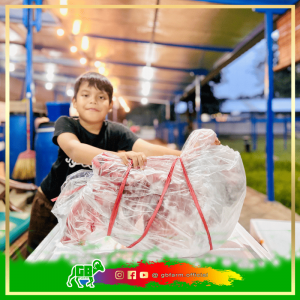 Domba Guling Premium – Siap Sembelih, Kulit, & Kemas - Bali