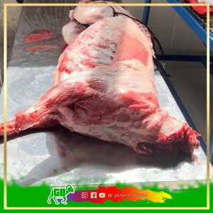 Karkas Kambing Domba Muda - Daging Empuk, Segar, dan Siap Olah!