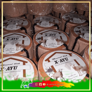 Mineral Blok Kambing Domba