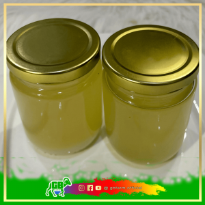 Minyak Lemak Domba Muda - Lamb Tallow