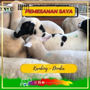Pesanan Inden