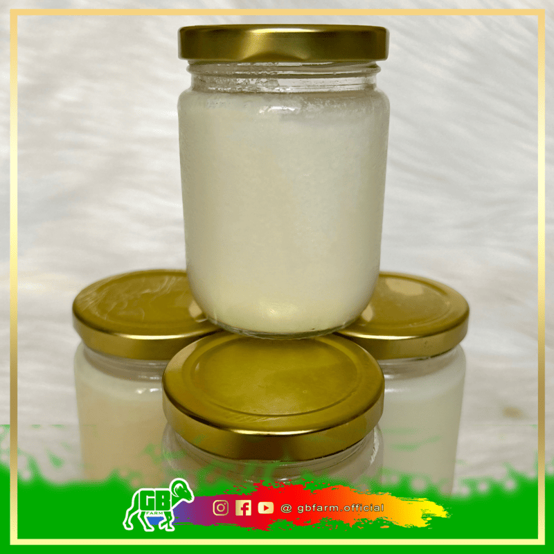 10+ Manfaat Minyak Lemak Domba Muda, Apa Saja?